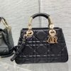 Dior Lady Handbag 24x18x10cm