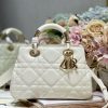 Lady Dior 95?22 24¡Á16.5¡Á9.5cm