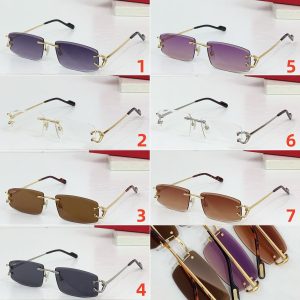 Alternative view of Cartier Glasses #5