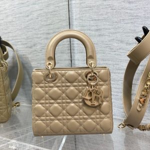 Lady Dior Bag 20x8x18cm