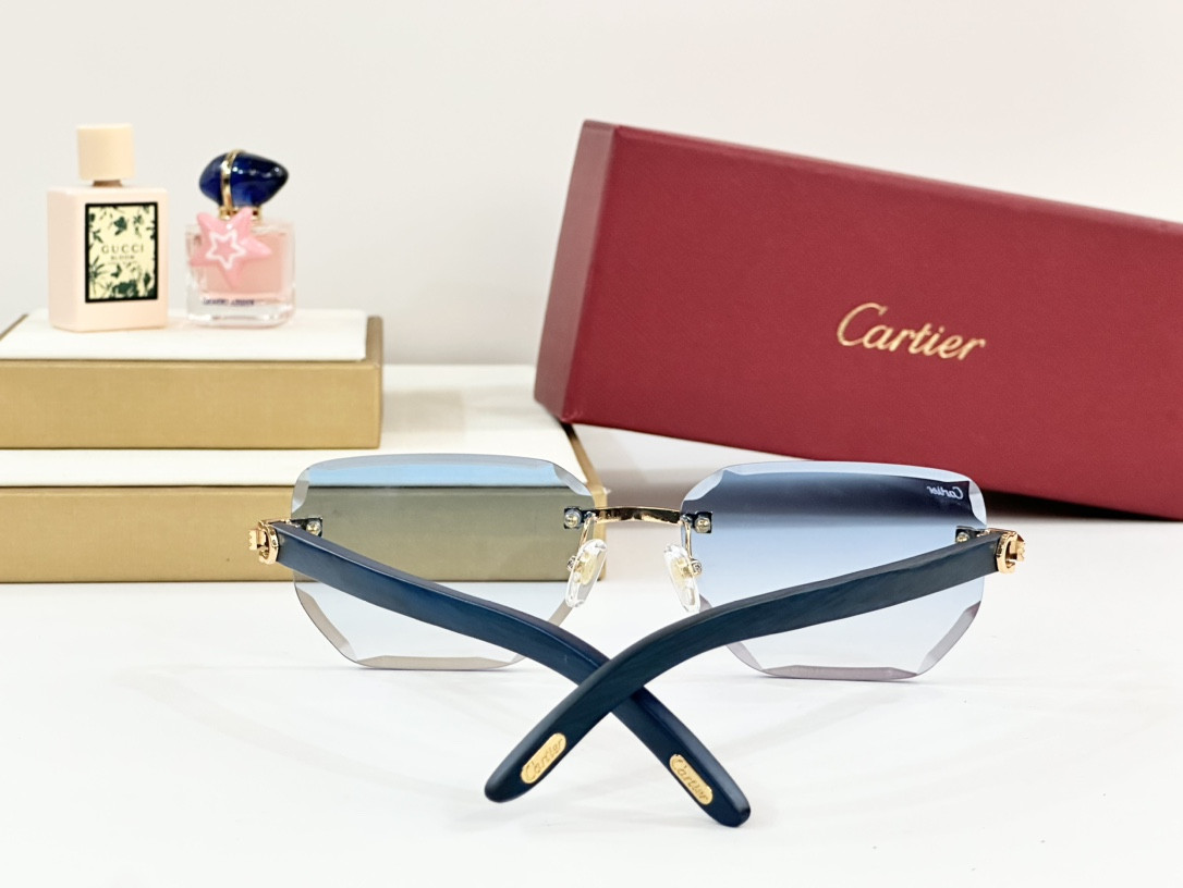 Cartier Glasses PARIS CT0620S - Image 10