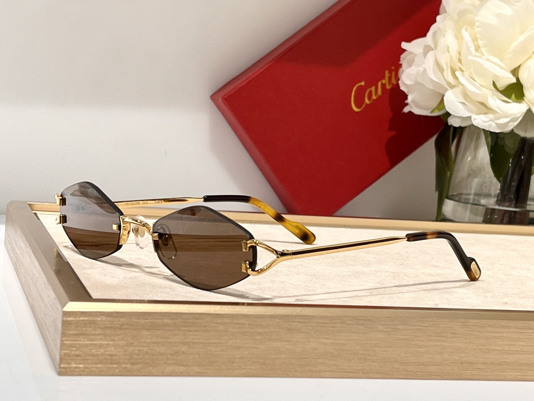 Cartier Glasses CT8100359 48-20-140 - Image 6