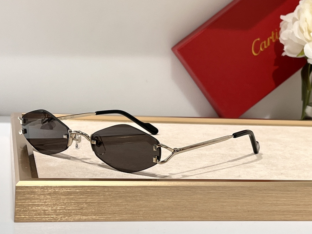 Cartier Glasses CT8100359 48-20-140 - Image 8