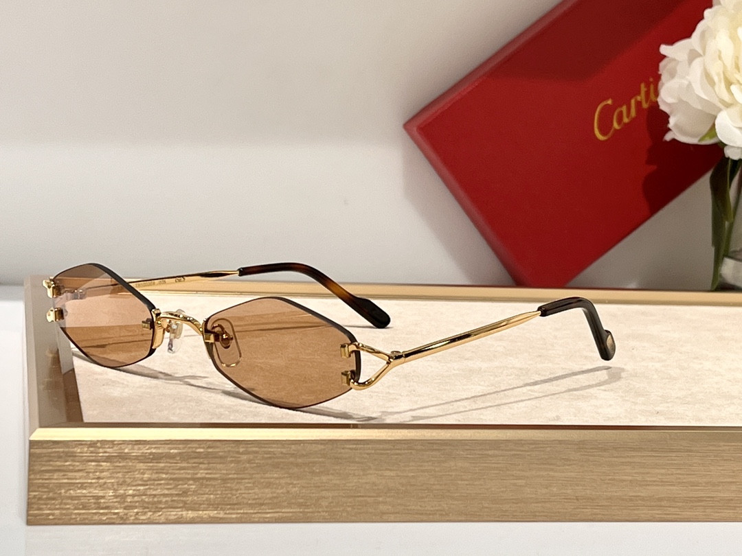Cartier Glasses CT8100359 48-20-140 - Image 9