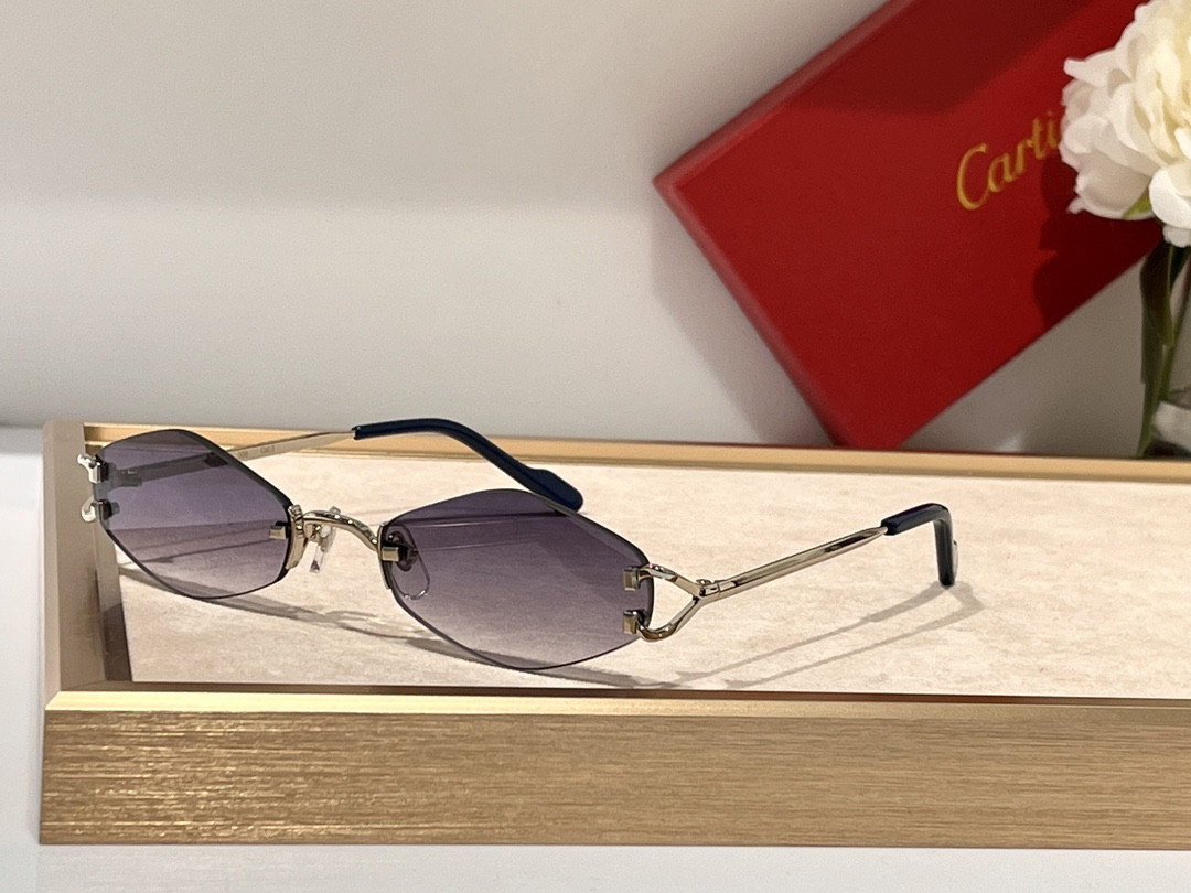Cartier Glasses CT8100359 48-20-140 - Image 4