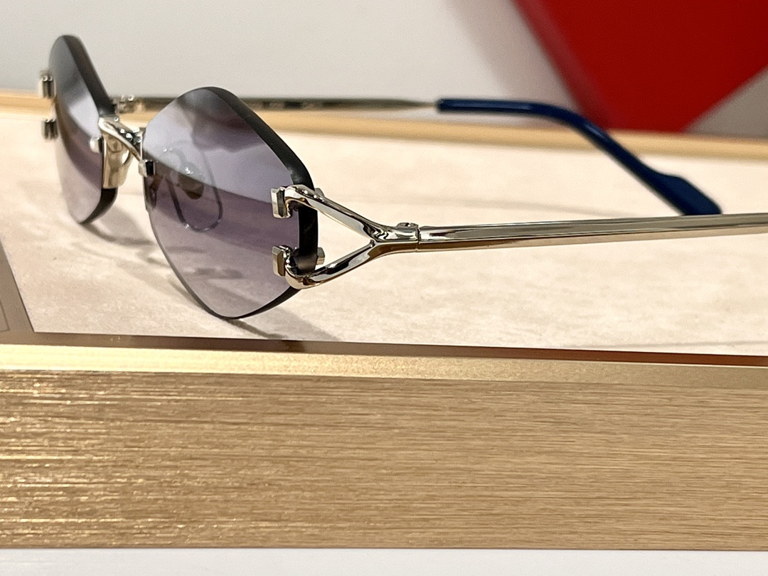 Cartier Glasses CT8100359 48-20-140 - Image 10