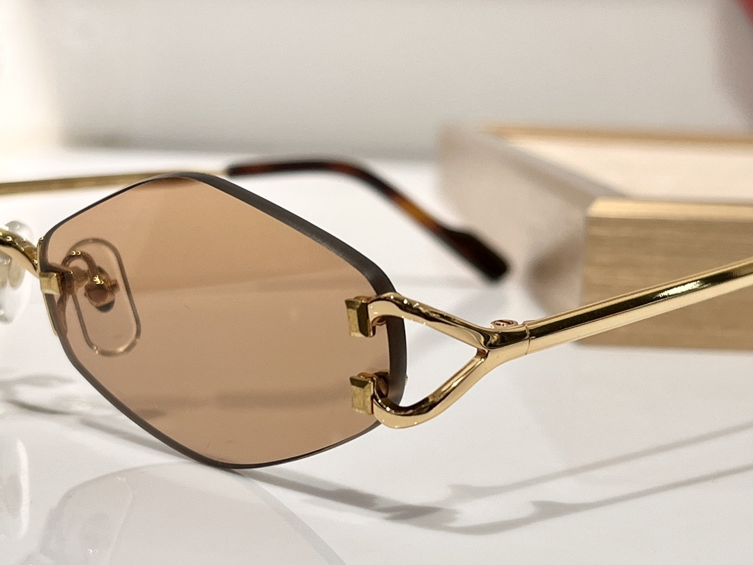 Cartier Glasses CT8100359 48-20-140 - Image 12