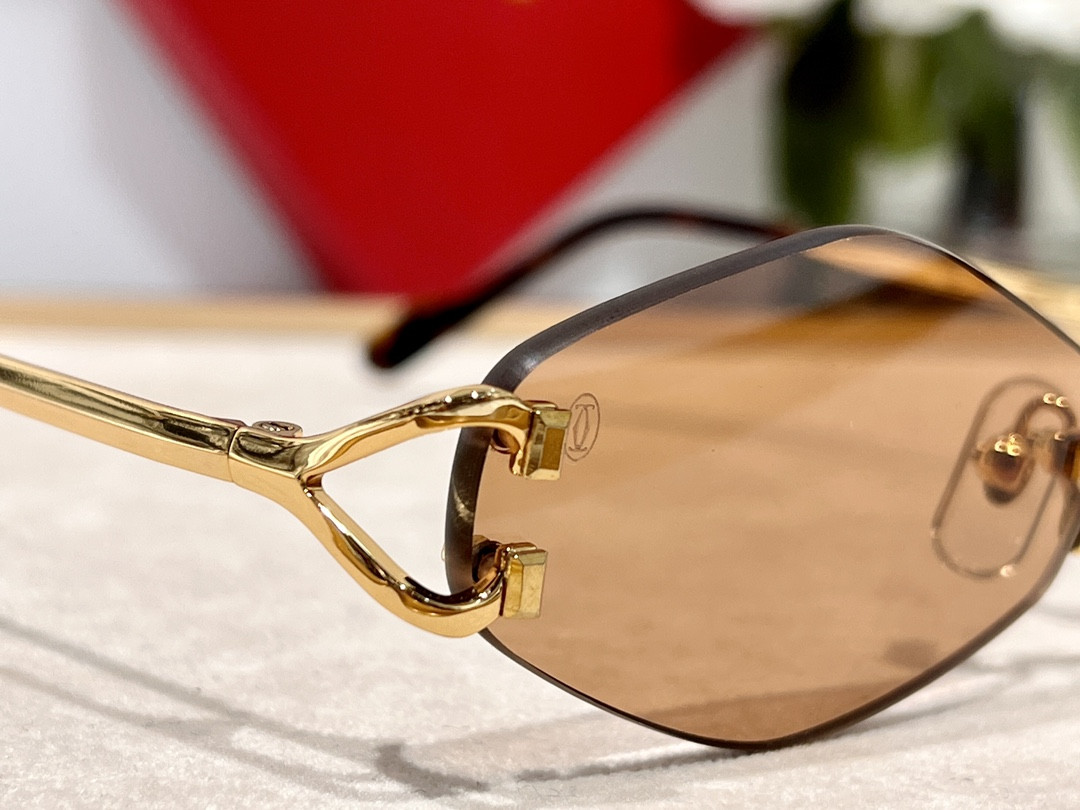 Cartier Glasses CT8100359 48-20-140 - Image 14