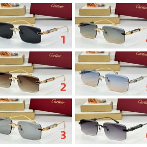 Cartier Glasses CT0630