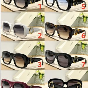 Cartier Glasses 51-21-145